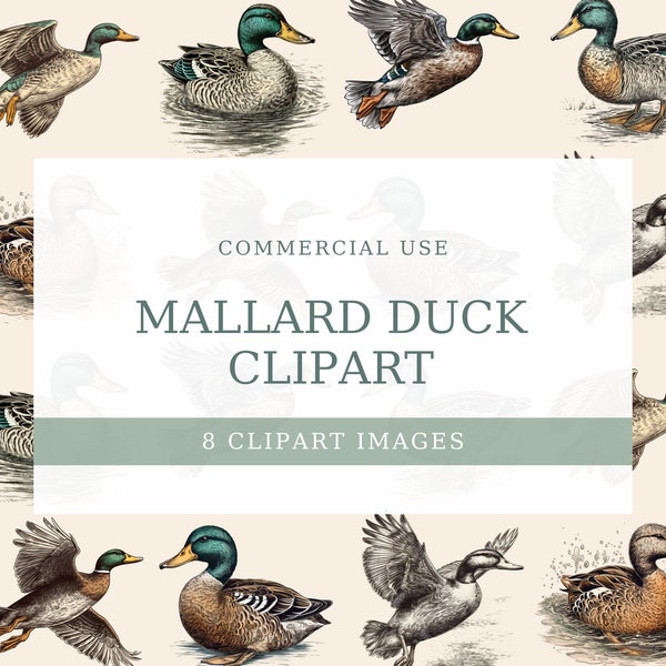 Marvelous Mallards: A Collection of Stunning Duck Clip Art