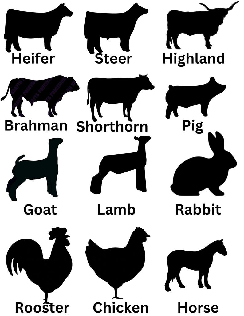 May include: A grid of twelve black animal silhouettes with labels including Heifer, Steer, Highland, Brahman, Shorthorn, Pig, Goat, Lamb, Rabbit, Rooster, Chicken, and Horse. Each icon depicts the distinct profile of the specific farm animal.
