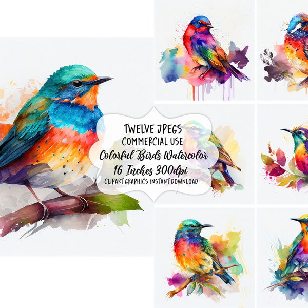 Colorful Bird Art - Etsy
