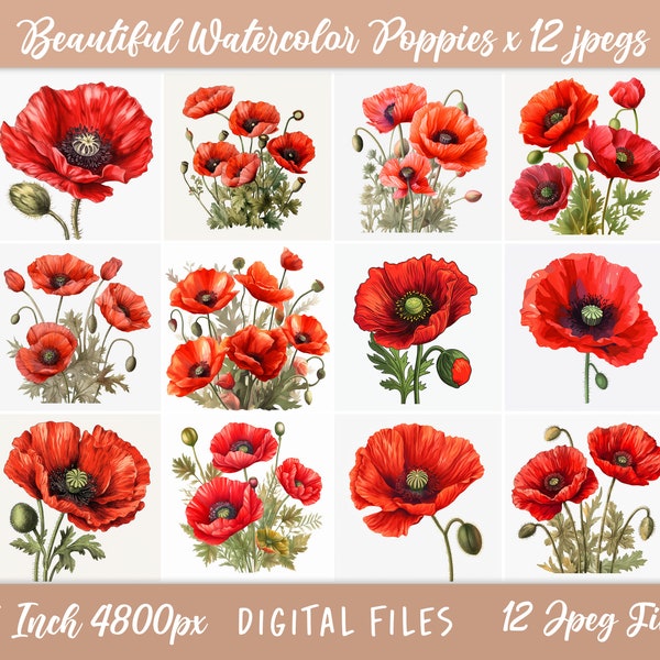 Poppy Clipart, Poppies Clipart, Poppy Clipart Bundle, Poppies Clipart Bundle,  Junk Journal, Commercial Use, Digital Download, Wall Art