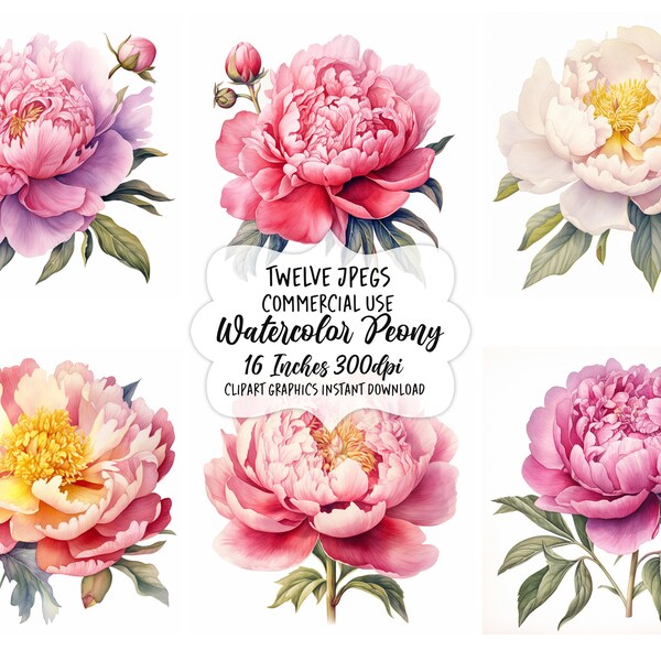 Watercolor Peony Clipart, Floral Botanical Clip Art, Commercial use, Paper crafts, Scrapbooking, Instant download, Card Making, Wall Art