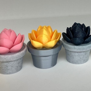 Colorful 3D Printed Succulent Earrings - Eco-Friendly Plant Jewelry in Pot, Handmade  Assorted Colors Gift for plant lovers