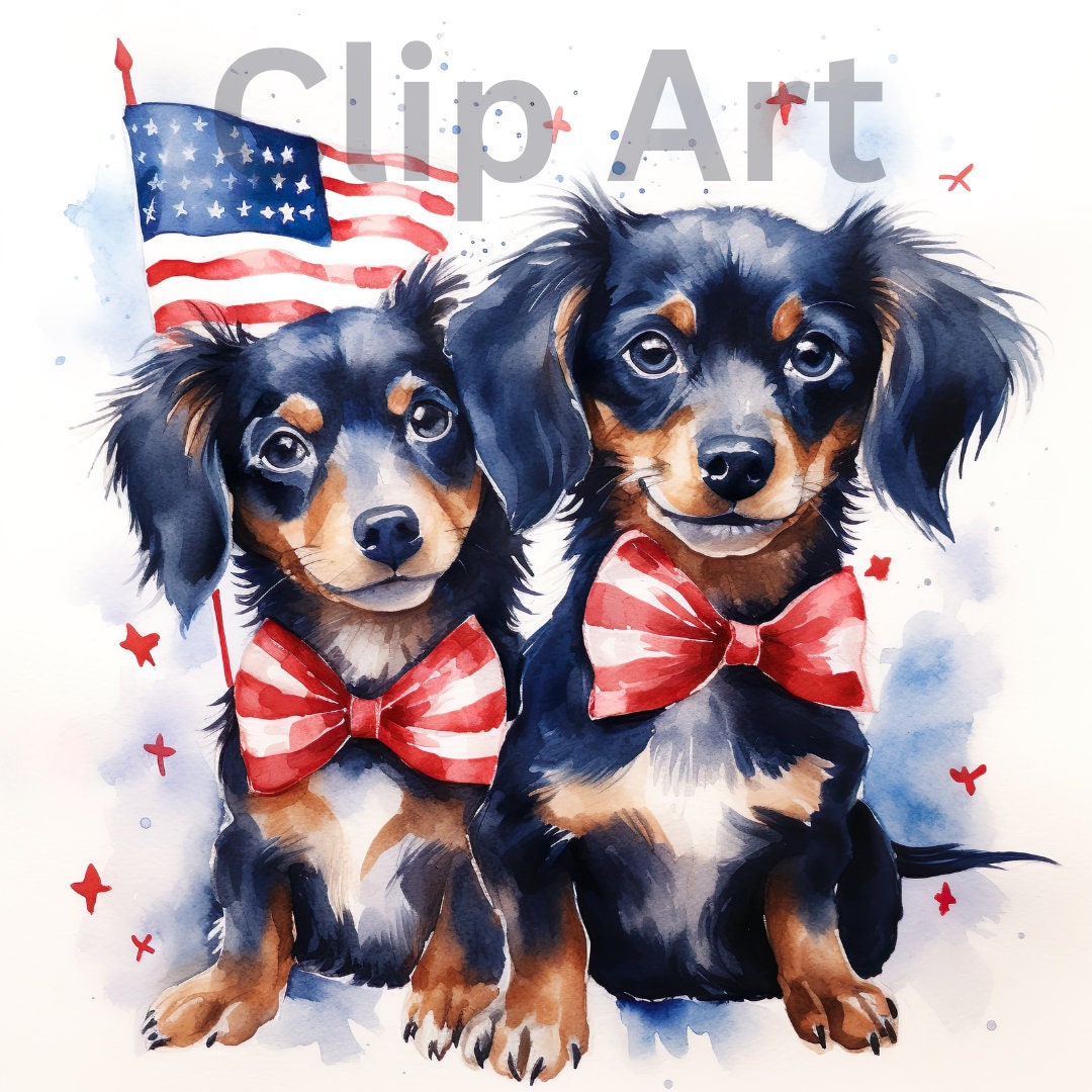fourth of july and pets