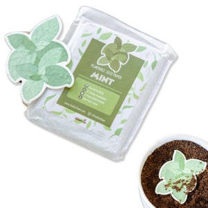 Menta, 10 pezzi di carta per semi piantabili - Bomboniere in carta per semi / Giardinaggio, compleanni, anniversari di matrimonio / Set di mini carte per semi piantabili
