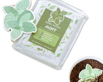 Menta, 10 pezzi di carta per semi piantabili - Bomboniere in carta per semi / Giardinaggio, compleanni, anniversari di matrimonio / Set di mini carte per semi piantabili