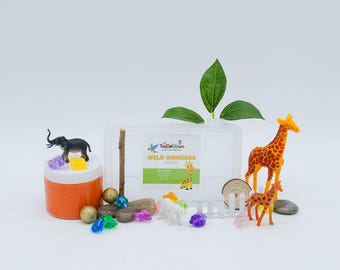 Safari Animals Sensory Play Dough Kit, Cognitive Development, Kids Activities for On The Go, Animals Sensory Toys for Kids Ages 3 and up