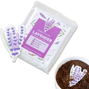 Lavanda, 10 pezzi di carta con semi piantabili - Bomboniere in carta con semi / Giardinaggio, compleanni, anniversari di matrimonio / Set di mini carte con semi piantabili