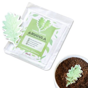 Carta semi piantabile - Rucola (set da 10)