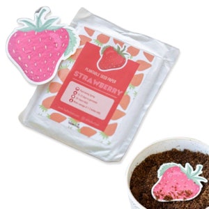 Fragola, 10 pezzi di carta con semi piantabili - Bomboniere in carta con semi / Giardinaggio, compleanni, anniversari di matrimonio / Set di mini carte con semi piantabili