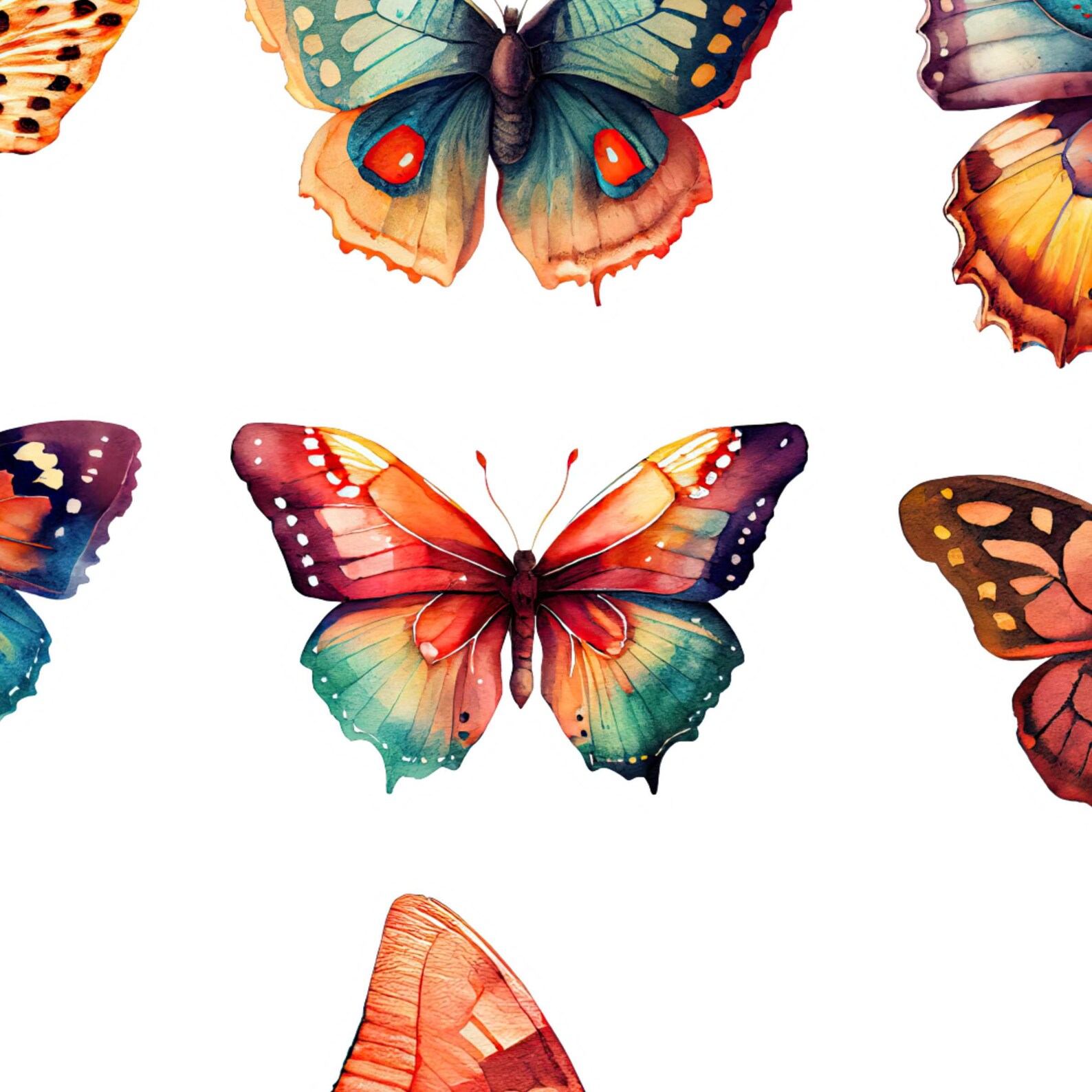 Sticker Butterfly Project Butterfly Sticker, Sticker Making Projects, Butterfly Png, Butterfly ...