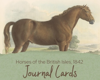 Vintage Horse Journal Cards, 1842 British Horses Printable, Junk Journal Ephemera, Antique Equestrian Art, Instant Download