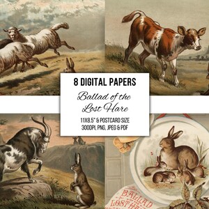 Ilustraciones de libros antiguos victorianos, material efímero imprimible, arte mural, álbumes de recortes para diarios basura, creación de tarjetas, impresiones para guarderías, Lost Hare 1882