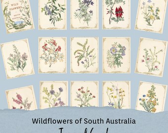 Vintage Wildflowers of Australia Journal Cards, Botanical Antique Floral Ephemera Kit, Printable Scrapbook Supplies