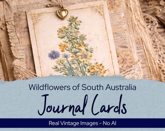 Vintage Wildflowers of Australia Journal Cards, Botanical Antique Floral Ephemera Kit, Printable Scrapbook Supplies