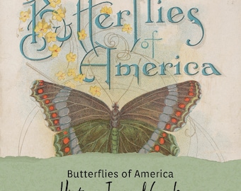 Vintage Butterfly Journal Cards Printable, Natural History Ephemera, Butterflies of America, Junk Journal, Specimen Art, Scrapbooking