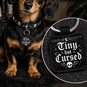 以下が含まれることがあります： 黒とタンのダックスフント犬が、白いドクロと星のデザインの黒い首輪をしています。犬は、白い文字で「Tiny but Cursed」と書かれたお揃いの黒いタグと、ドクロ、コウモリ、月のグラフィックが付いています。