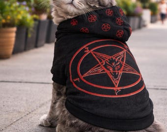 May include: A gray tabby cat wearing a black hoodie with a red pentagram design. The cat is sitting on a sidewalk, with a blurred background of buildings and greenery. The hoodie has a hood with small pentagrams.