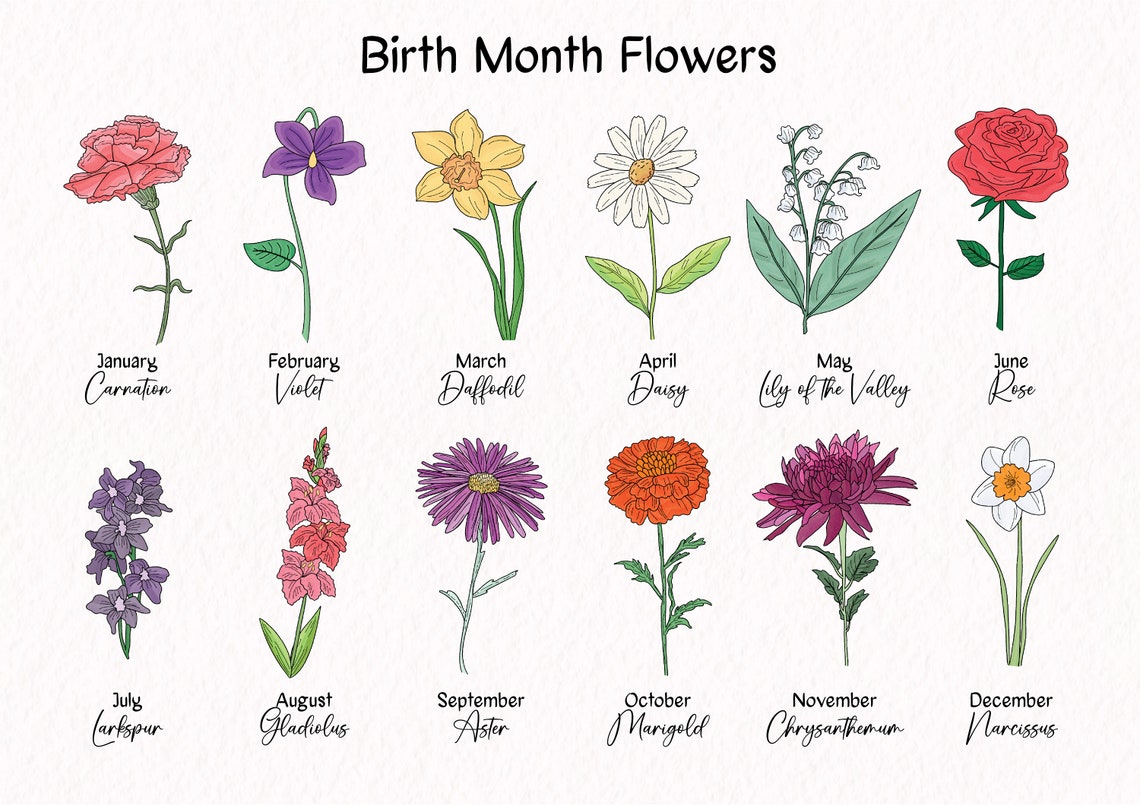 Birth Month Flowers Poster, PRINTABLE, Home Decor, Flower Artwork