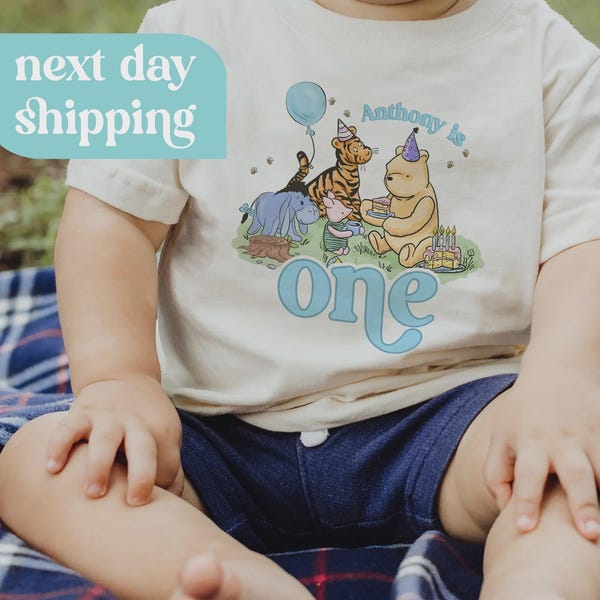 Winnie the Pooh First Birthday Shirt, Personalized Family Outfit