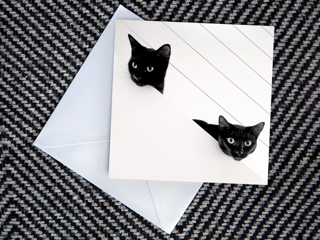 Black Cats Printable Card, Cards for Cat Lovers, Black Cats Printable