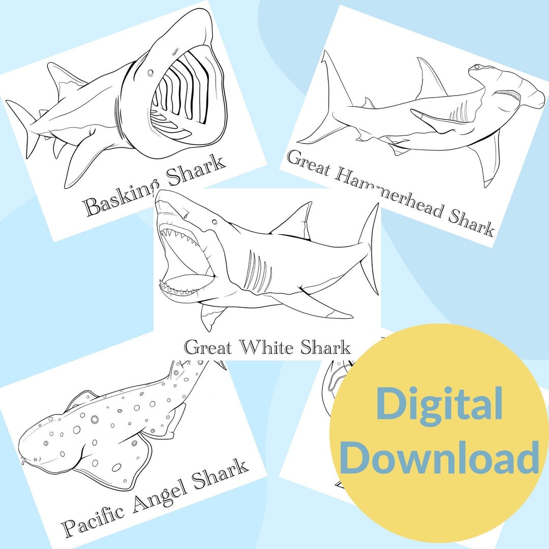 5 Shark Printable Coloring Pages Educational Marine Animals Instant PDF 5 Shark Printable Coloring Pages Educational Marine Animals Instant PDF