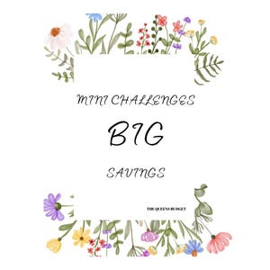 May include: A white background with a floral border. The text "mini challenges BIG SAVINGS" is in the center of the image. The text "THE QUEENS BUDGET" is at the bottom of the image.