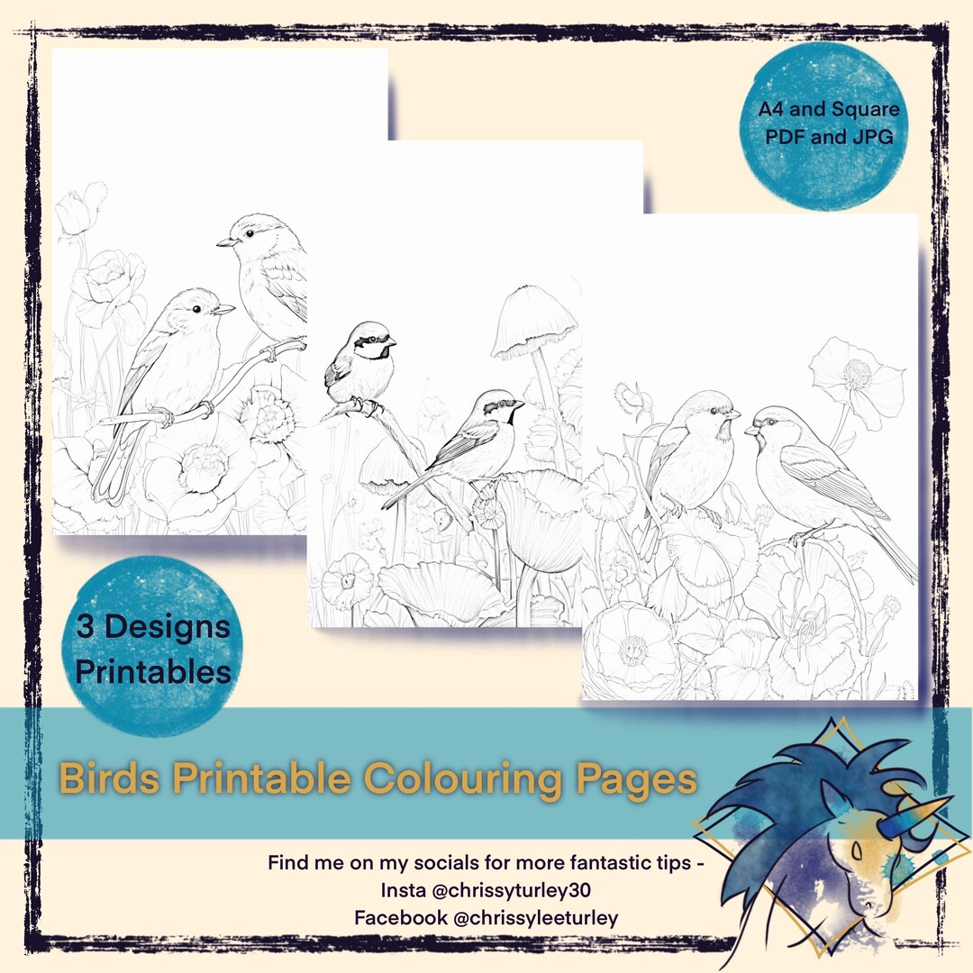 Finch Robin Coloring Pages Printable Painting Traceable Gift Etsy