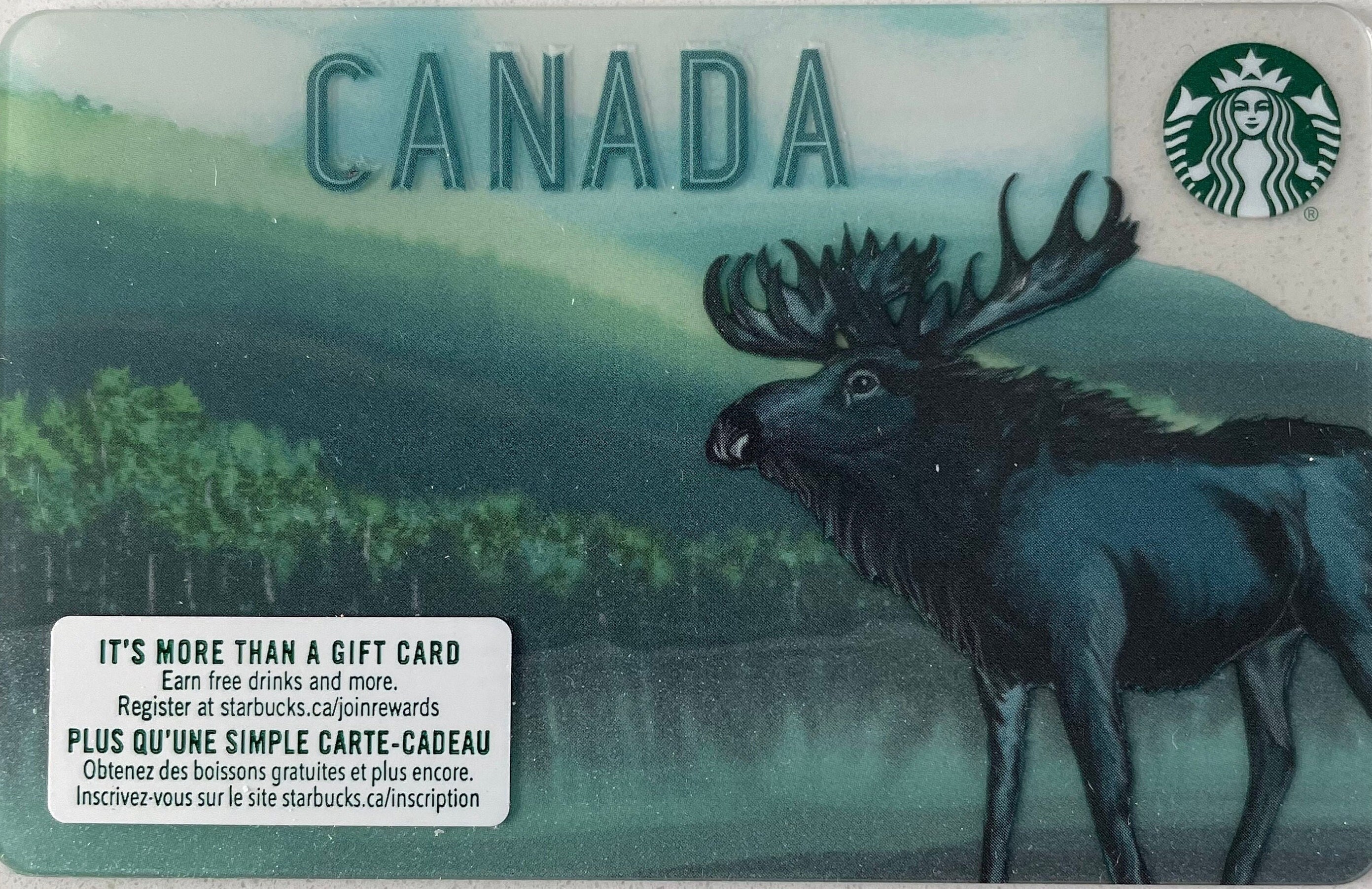 STARBUCKS Card MOOSE Coffee Gift Card. Limited Edition Raised Etsy