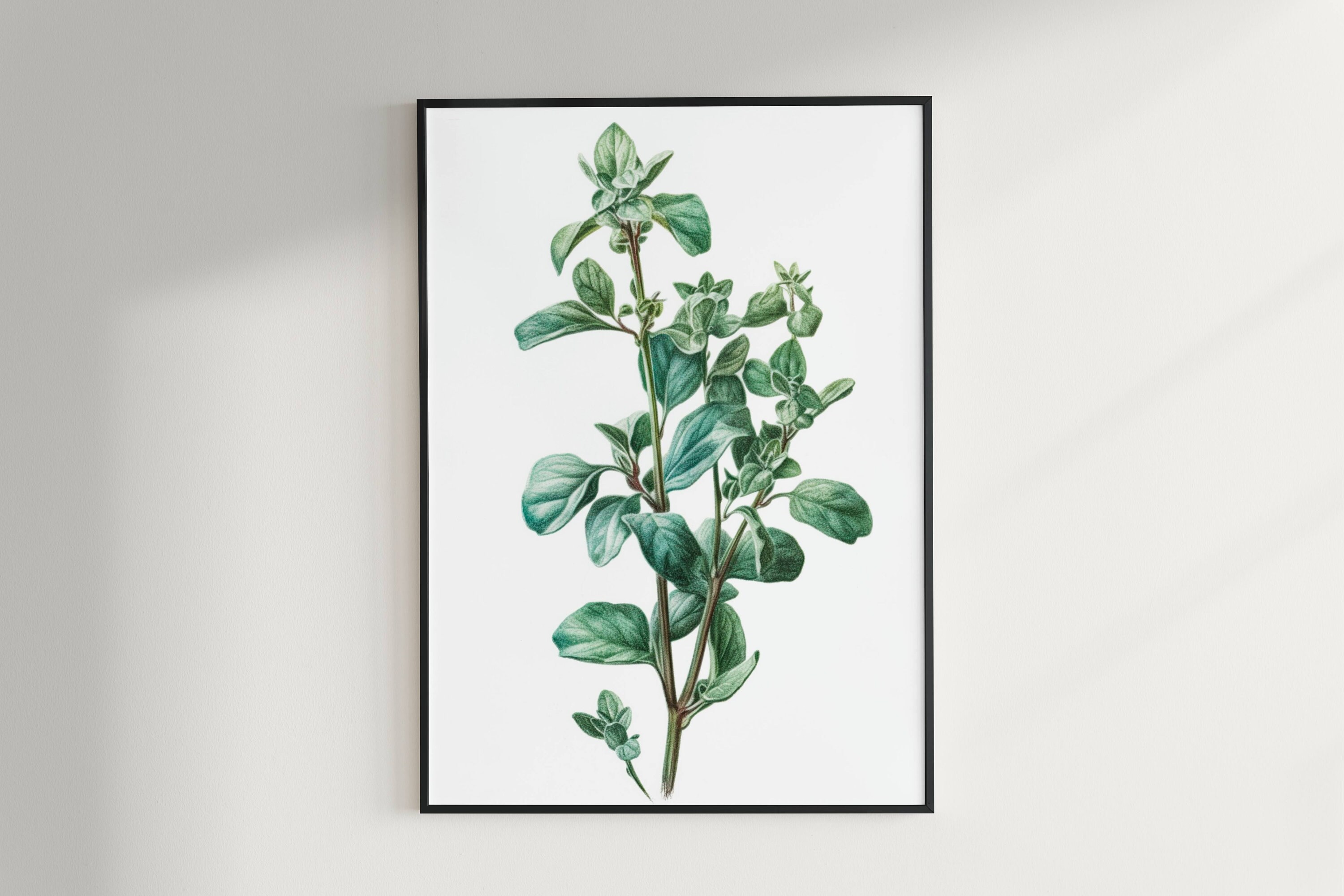 Herb Prints, Set of 6, Herb Printables, Kitchen Printables, Botanical ...
