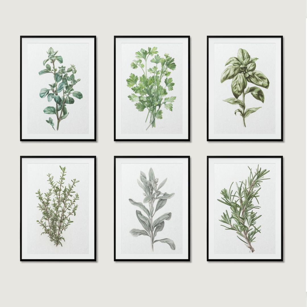 Herb Prints, Set of 6, Herb Printables, Kitchen Printables, Botanical