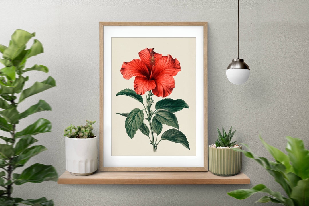 Hibiscus Vintage Botanical Print of Flowers, Rustic Floral Wall Art ...