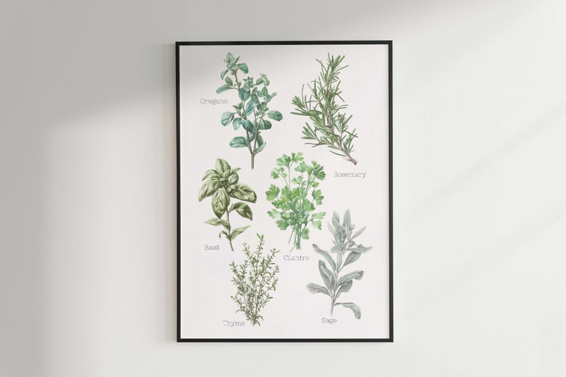 Herb Prints, Herb Printables, Kitchen Printables, Botanical Prints ...