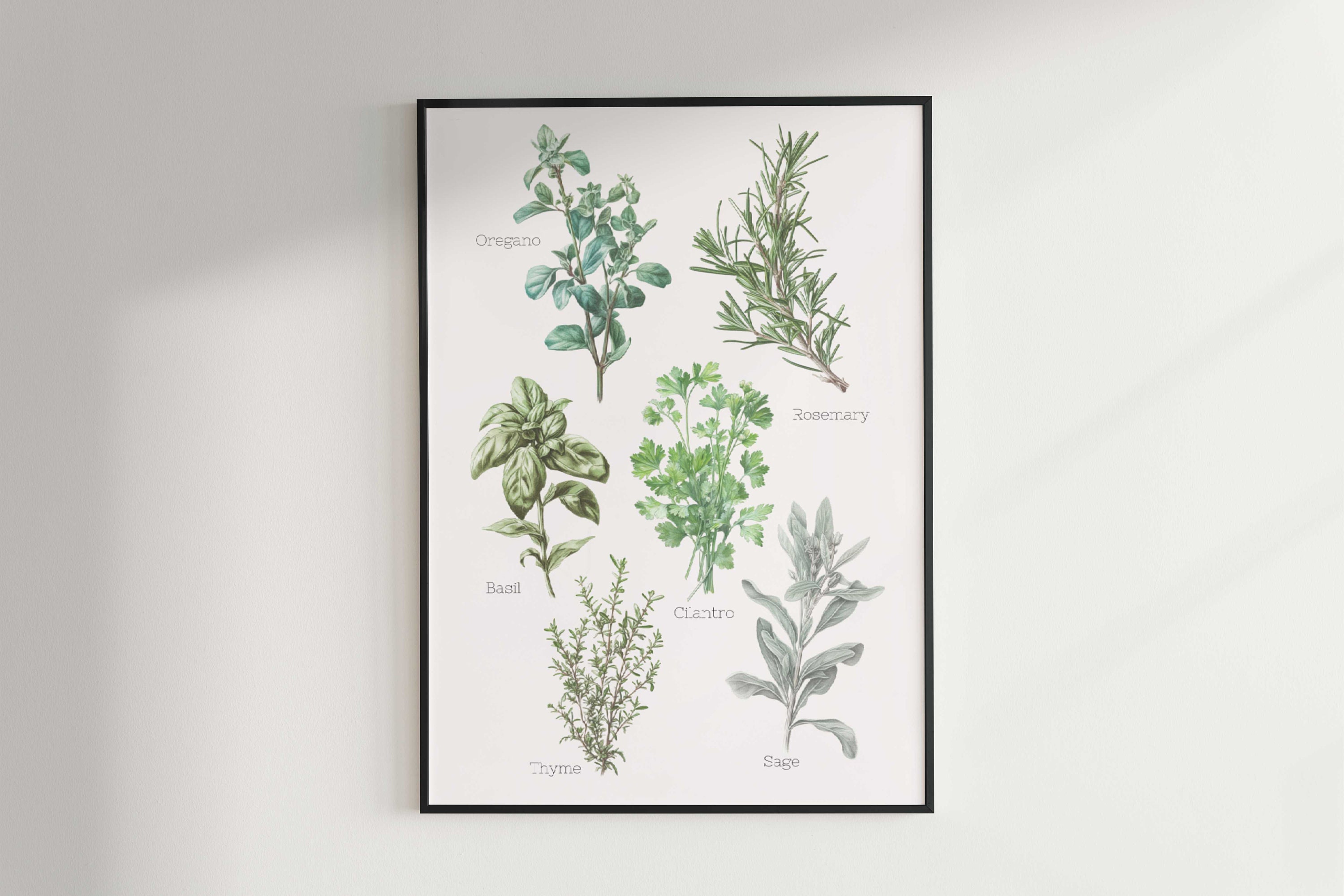 Herb Prints, Herb Printables, Kitchen Printables, Botanical Prints ...