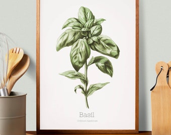 Basil Herb Prints, Herb Printables, Kitchen Printables, Botanical Prints, Oregano