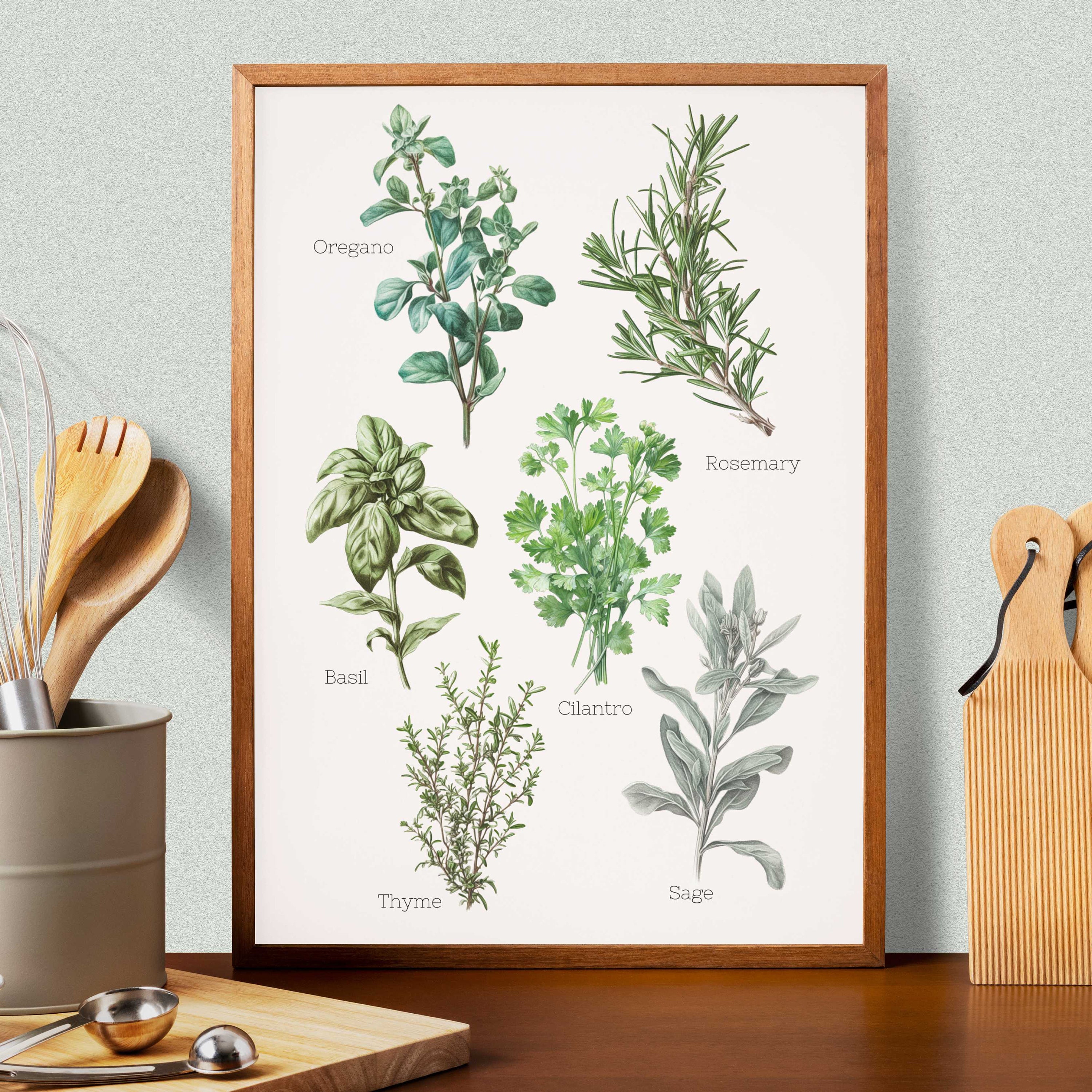Herb Prints, Herb Printables, Kitchen Printables, Botanical Prints ...
