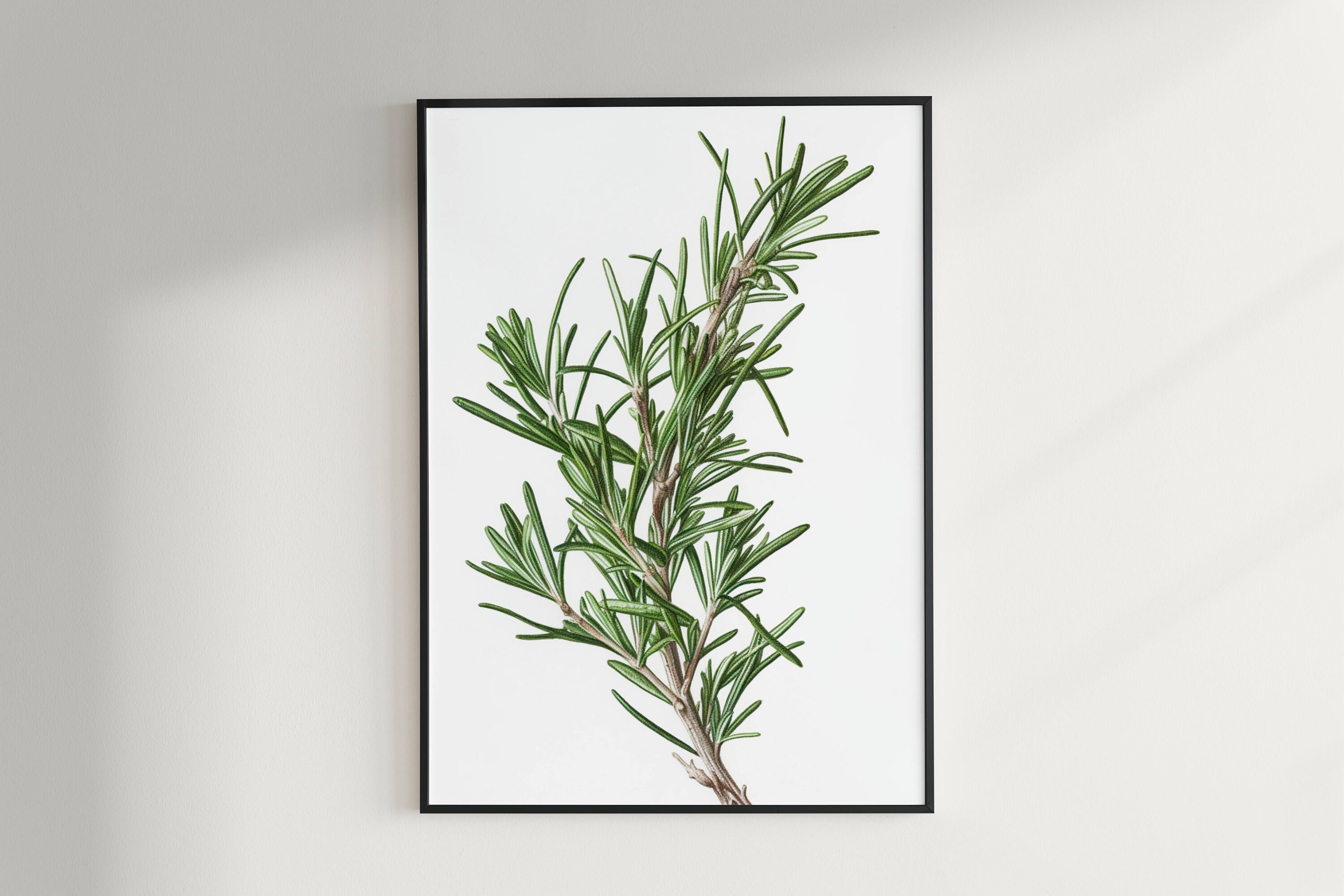 Herb Prints, Set of 6, Herb Printables, Kitchen Printables, Botanical ...