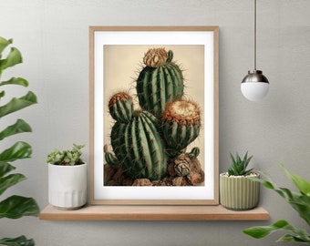 Cactus Printable Art, Botanical Print, Botanical Wall Art