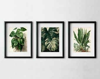 House Plants Botanical Print, Botanical Wall Art, Printable Art