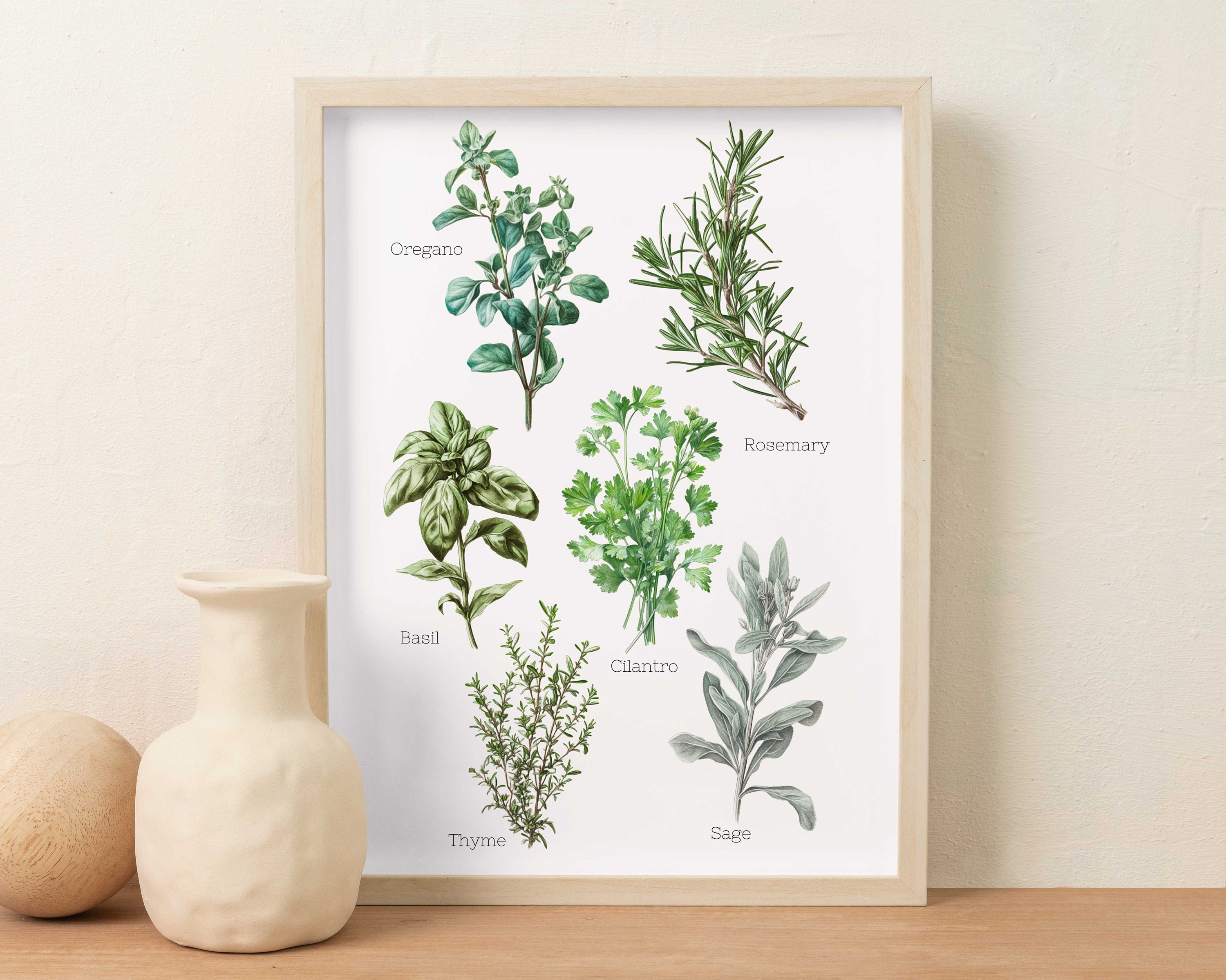 Herb Prints, Herb Printables, Kitchen Printables, Botanical Prints ...