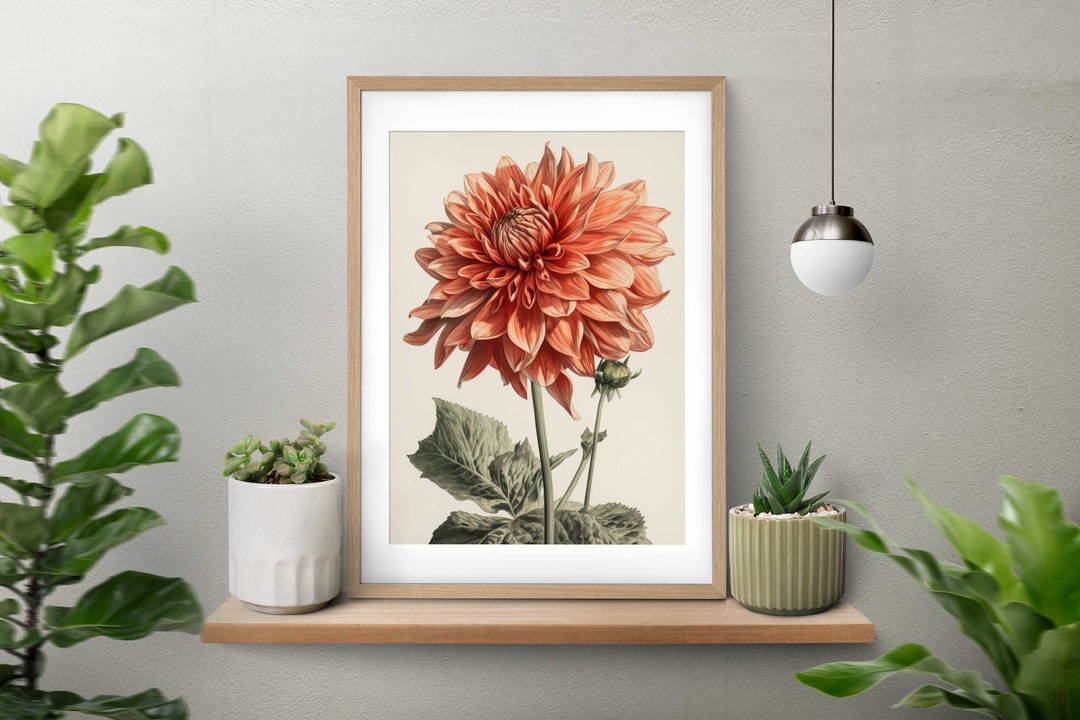 Dahlia Flower Print: Vintage Botanical Wall Art (digital Download) - Etsy
