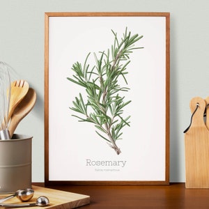 Rosemary Herb Prints, Herb Printables, Kitchen Printables, Botanical Prints, Oregano