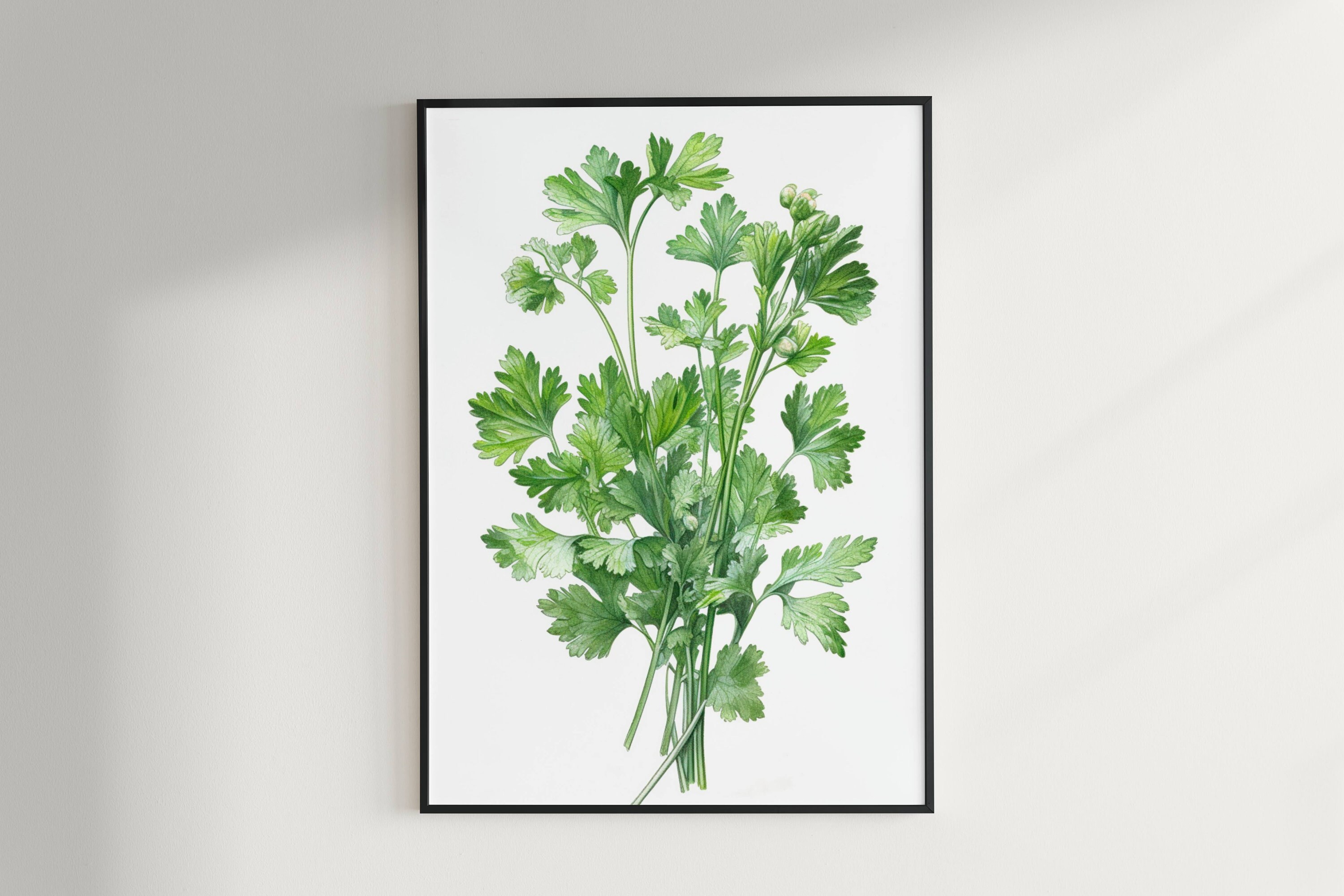Herb Prints, Set of 6, Herb Printables, Kitchen Printables, Botanical ...