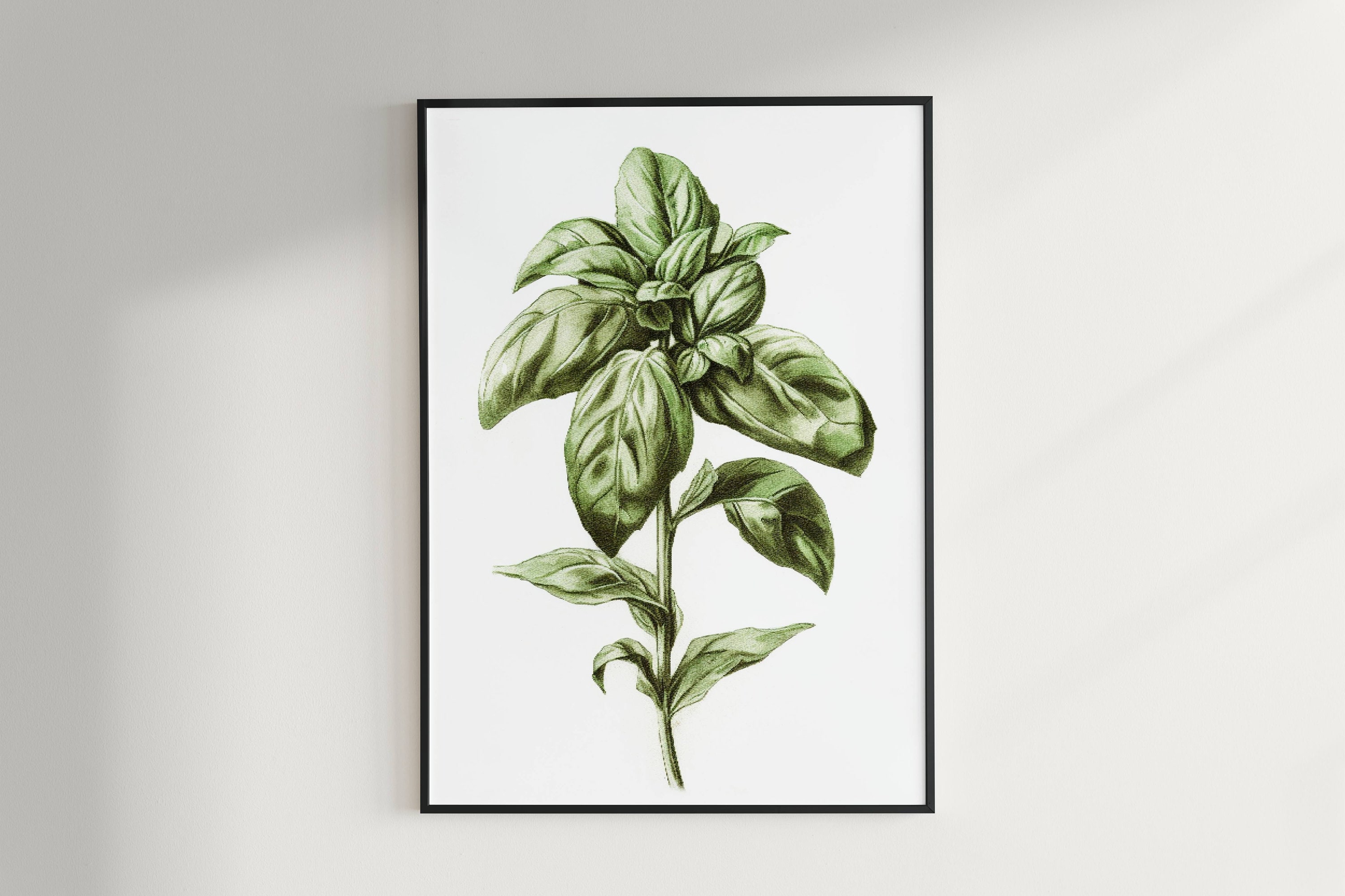 Herb Prints, Set of 6, Herb Printables, Kitchen Printables, Botanical ...