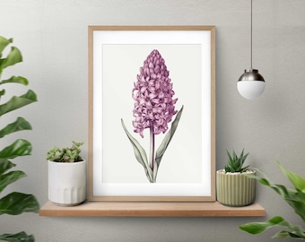 Hyacinth Vintage Botanical Print of flowers, Rustic Floral Wall Art, Digital Download, Printable Artwork, Boho Home Decor