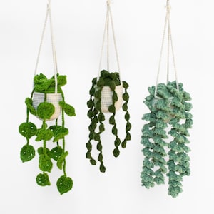 Camping Decoration Crochet PlantEvergreen crochet plant | Handmade camping decoration | Sustainable, lightweight & maintenance-free