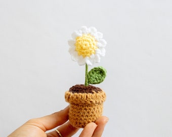 Gehäkelte Pflanze Gänseblümchen weiß Grün | Muttertag Geschenk | Häkelpflanze Blume mit Topf | Dekoration klein