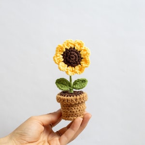 Può includere: Un girasole all'uncinetto con centro marrone e petali gialli in un vaso marrone. Il girasole è tenuto in una mano.