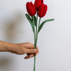 May include: A bouquet of three red crocheted tulips with green stems and leaves.