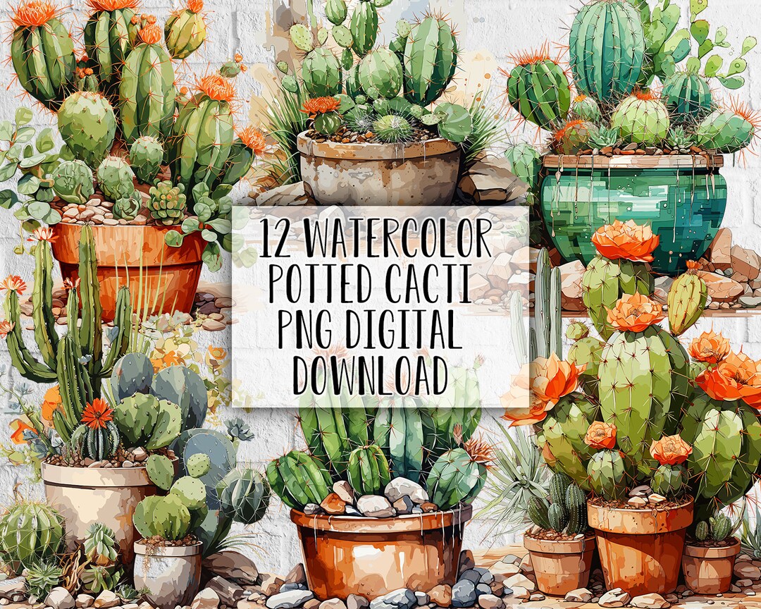 12 Watercolor Potted Cacti Clipart Printable Art for Crafts - Etsy