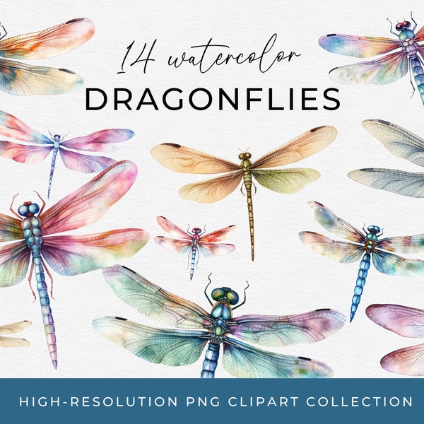 Watercolor Dragonflies Clip Art Dragonfly Image Bundle Rainbow Dragonflies Transparent PNG Clipart Commercial Use Images